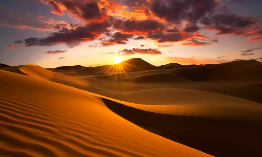 Sam Sand Dunes Jaisalmer Fort