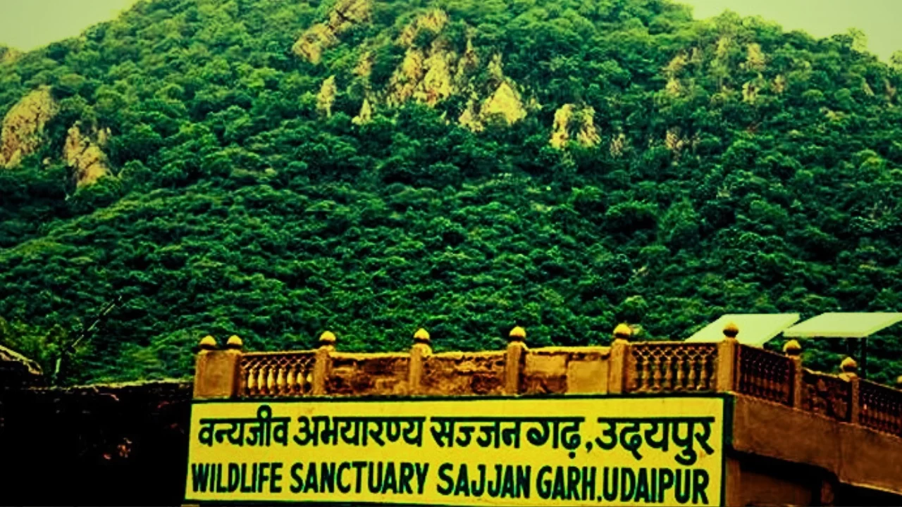 Sajjangarh Wildlife Sanctuary, Udaipur